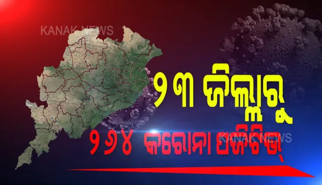 ଓଡିଶା ମୁହାଁ ହୋଇପାରନ୍ତି ପଙ୍ଗପାଳ! ମଧ୍ୟପ୍ରଦେଶ ସୀମା ଦେଇ ଛତିଶଗଡ ମୁଁଗେଲିରେ ପଶିଛନ୍ତି ପଙ୍ଗପାଳ: ପ୍ରଶାସନ ପକ୍ଷରୁ ଘଉଡେଇବା ପାଇଁ ଉଦ୍ୟମ
