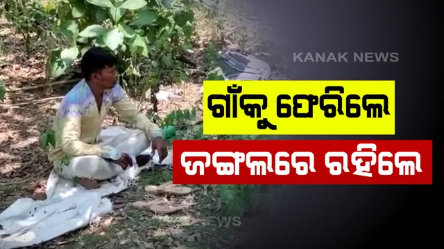 କରୋନା କାଳରେ ପ୍ରବାସୀଙ୍କ ଦୁଃଖ: ଘର ପରିବାରକୁ ଭେଟିବା ପାଇଁ ଚେନ୍ନାଇରୁ ଫେରିଲେ; ହେଲେ ଗାଁରେ ପୁରାଇଦେଲେନି ଲୋକେ, ୨ଦିନ ହେଲା ଜଙ୍ଗଲରେ ପଡିଛନ୍ତି ଅଖିିଆ ଅପିଆ