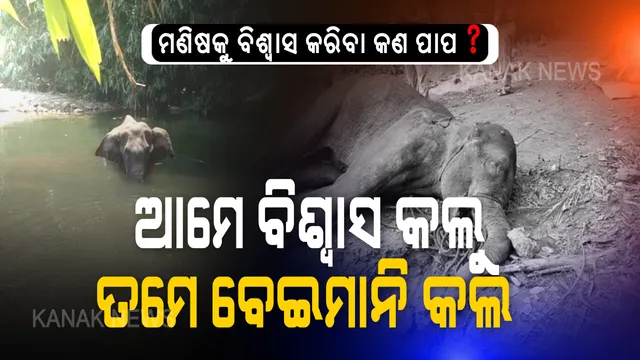 ସୈତାନ ମଣିଷର ଗୁଣକୁ ଜାଣିପାରିଲାନି ଗର୍ଭବତୀ ହାତୀ, ନୃସଂଶତାର ସବୁସୀମା ଟପି ନିଜ ହାତରେ ବାଣ ଭର୍ତ୍ତି ସପୁରୀ ହାତୀକୁ ଦେଲା ଖୁଆଇ । ଗର୍ଭବତୀ ହାତୀ ପାଟିରେ ଫୁଟିଗଲା ବୋମା ଦୀର୍ଘ ସମୟ ଛଟପଟ ହେବା ପରେ ଆଖିବୁଜିଲା ।