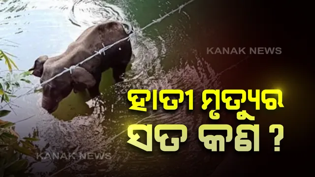 କେରଳ ହାତୀ ମୃତ୍ୟୁର ସତ କଣ ? କେନ୍ଦ୍ର ପରିବେଶ ମନ୍ତ୍ରୀ କହିଲେ, ଷଡଯନ୍ତ୍ର ନୁହେଁ ଦୁର୍ଘଟଣାବଶତଃ ଯାଇଛି ହାତୀର ଜୀବନ । ପ୍ରାଥମିକ ତଦନ୍ତରୁ ହୋଇଛି ସ୍ପଷ୍ଟ ।