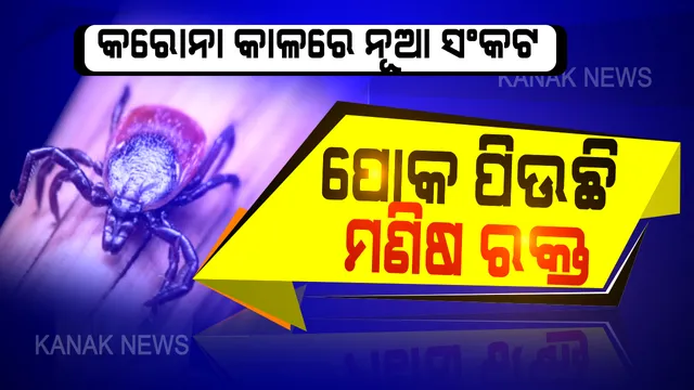 କରୋନା କାଳରେ ନୂଆ ସଂକଟ...ପୋକ ଶୋଷୁଛି ମଣିଷ ରକ୍ତ ! ଋଷରେ ମଣିଷ ରକ୍ତ ପିଆ ପୋକ ଆତଙ୍କ, ବିଷାକ୍ତ କୀଟ ଆକ୍ରମଣରେ ଅସୁସ୍ଥ ହୋଇ ଡାକ୍ତରଖାନାରେ ଭର୍ତ୍ତି ହେଲେଣି ଶହ ଶହ ଲୋକ