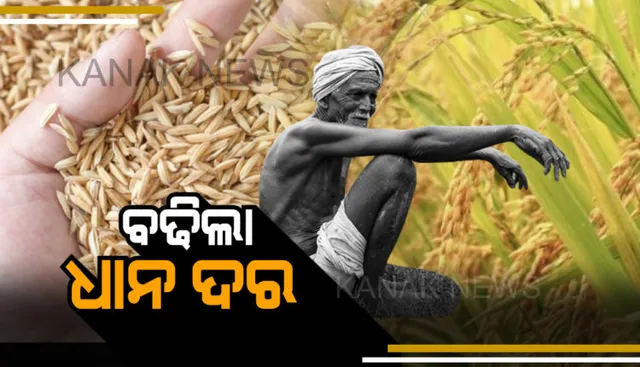 ବଢିଲା ଧାନର ସର୍ବନିମ୍ନ ସହାୟକ ମୂଲ୍ୟ : ୧୮୬୮କୁ  ବୃଦ୍ଧି ନେଇ କେନ୍ଦ୍ର କୃଷିମନ୍ତ୍ରୀଙ୍କ ସୂଚନା ।  ଧାନ ସହ ୧୪ଟି ଖାଦ୍ୟଶସ୍ୟ ମୂଲ୍ୟ ବଢାଇଲେ କେନ୍ଦ୍ର ସରକାର
