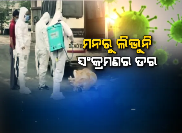 ମହାମାରୀ ପାଇଁ ମନରୁ ଲିଭୁନି ସଂକ୍ରମଣ ଭୟ । ଆଗ ସାନିଟାଇଜ, ପରେ ସଂସ୍କାର । ଜୁଇକୁ ଯିବା ପୂର୍ବରୁ ଶବକୁ କରାଯାଉଛି ସାନିଟାଇଜ ସ୍ପ୍ରେ