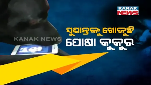 ସୁଶାନ୍ତଙ୍କ ଫେରିବା ବାଟକୁ ଚାହିଁ ବସିଛି ପୋଷା କୁକୁର ଫଜ୍ । ମୋବାଇଲରେ ମାଲିକକୁ ଖୋଜୁଛି, ବାଲକୋନିରୁ ବାରମ୍ବାର ଚାହିଁ ରହୁଛି ।