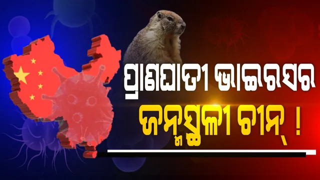 ମାରାତ୍ମକ ଭାଇରସର ଉତ୍ପତ୍ତି ସ୍ଥଳ ପାଲଟିଛି ଚୀନ୍ । ଆସୁଛି ଗୋଟିଏ ପରେ ଗୋଟିଏ ପ୍ରାଣଘାତୀ ଭାଇରସ, କରୋନା, ହନ୍ତା ପରେ ଏବେ ବ୍ୟୁବୋନିକ ପ୍ଲେଗ ।