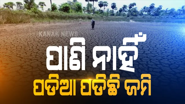 ପାଣି ନାହିଁ ପଡିଆ ପଡିଛି ଜମି । ରାଜ୍ୟର ଅଧିକାଂଶ ଜିଲ୍ଲାରେ ବର୍ଷା ଅଭାବରୁ ପଛେଇ ଯାଇଛି ଖରିଫ ଚାଷ, ବାଲେଶ୍ୱର ବସ୍ତାରେ ଜଳିଗଲାଣି ଧାନ ତଳି, ଫାଟି ଆଁ କରିଛି ରୁଆ ବିଲ ।