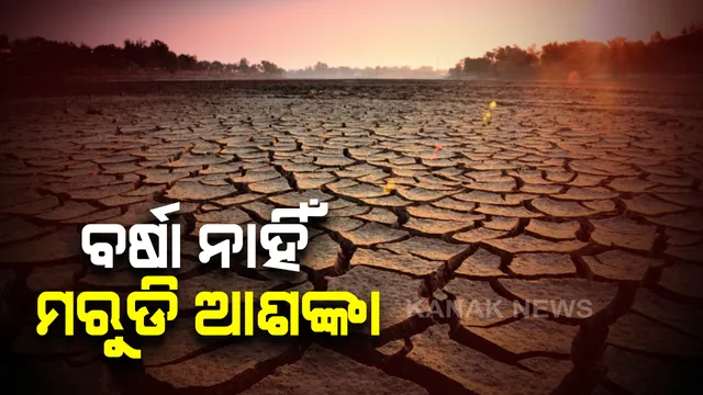ବର୍ଷା ଅଭାବରୁ ଗୋପରେ ଗଜା ମରୁଡି ଆଶଙ୍କା । ଖରା ଯୋଗୁଁ ଚାଷ ଜମି ଫାଟି ଆଁ କଲାଣି । ପୋଡି ଗଲାଣି ତଳି । ଚିନ୍ତାରେ ଚାଷୀ । 