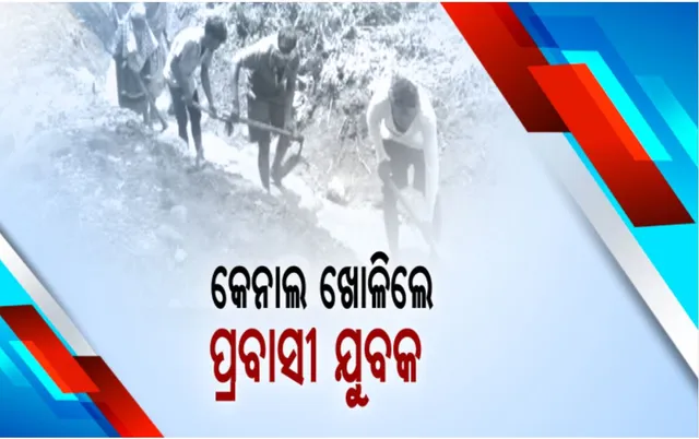ଝରଣା ପାଣିକୁ ଗାଁକୁ ଆଣିଲେ ପ୍ରବାସୀ ଯୁବକ : ଶ୍ରମଦାନ କରି ଖୋଳିଲେ ୮ଶହ ମିଟର କେନାଲ ; ଉଦାହରଣ ପାଲଟିଲେ କନ୍ଧମାଳ ଜିଲ୍ଲା ଦାରିଙ୍ଗିବାଡି ବ୍ଲକ ଗୁହିବାଡି ଗାଁର ୩୫ ପରିବାର