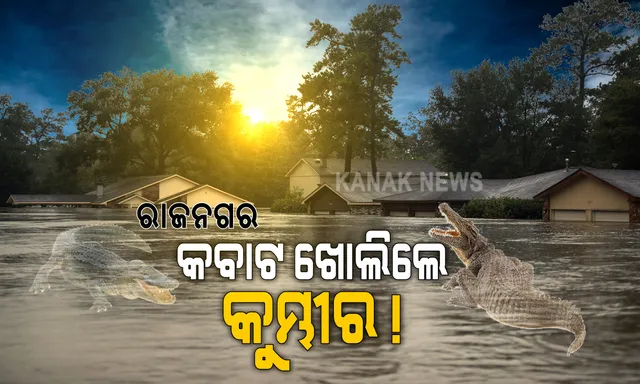 ଲଗାଣ ବର୍ଷା ଯୋଗୁଁ ଗାଁ ଦାଣ୍ଡରେ ଜମୁଛି ପାଣି । କବାଟ ଖୋଲିଲେ କୁମ୍ଭୀର ଭୟ, ଘରୁ ବାହାରିବାକୁ ଡରୁଛନ୍ତି କେନ୍ଦ୍ରାପଡ଼ା ଜିଲ୍ଲା ରାଜକନିକା ଅଂଚଳର ଲୋକେ, ଏପଟେ ରାଜନଗରରେ ବର୍ଷା ପାଣିରେ ବୁଡି ନଷ୍ଟ ହେବାକୁ ବସିଲାଣୀ ଚାଷୀର ଫସଲ ।