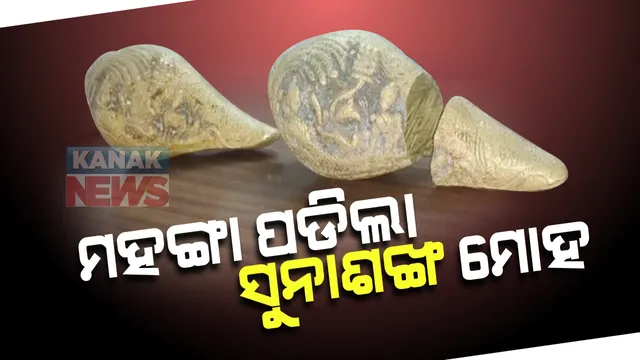 ଠକେଇର ନୂଆ ତରିକା । ସୁନାଶଙ୍ଖ ମୋହ ଦେଖାଇ ନୟାଗଡରେ ଦୁର୍ବୃତ୍ତ ଲୁଟିନେଲେ ୮ ଲକ୍ଷ ଟଙ୍କା । ଏତଲା ପରେ ଠକ ଗିରଫ