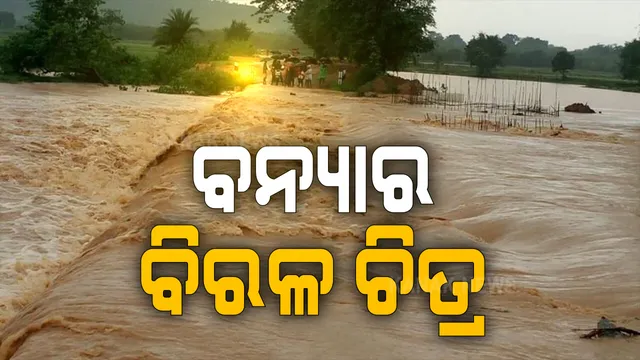 ମହାରୂପରେ ମହାନଦୀ : ୬ ଜିଲ୍ଲାରେ ବିପତ୍ତି ଆଣିପାରେ ବନ୍ୟା