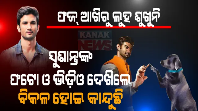 ସୁଶାନ୍ତଙ୍କୁ ଭୁଲିପାରୁନି ପୋଷା କୁକୁର । ଅଭିନେତାଙ୍କ ମୃତ୍ୟୁକୁ ସହଜରେ ଗ୍ରହଣ କରିପାରୁନି । ସୁଶାନ୍ତଙ୍କୁ ଏବେ ବି ଝୁରୁଛି ଫଜ୍ । ଫଟୋ ଓ ଭିଡ଼ିଓ ଦେଖିଲେ ବିକଳ ହୋଇ କାନ୍ଦୁଛି