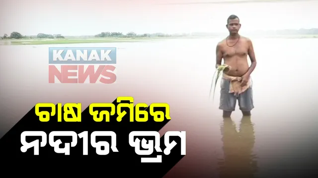 କେନ୍ଦ୍ରାପଡାରେ ଚାଷ ଜମି ସୃଷ୍ଟି କରୁଛି ନଦୀର ଭ୍ରମ : ବର୍ଷା ପାଣିରେ ବୁଡିଛି ଶହ ଶହ ହେକ୍ଟର ଧାନ ଫସଲ, ହୋଇପାରୁନି ଜଳ ନିଷ୍କାସନ; ଚିନ୍ତାରେ ଚାଷୀ