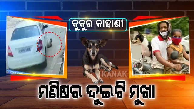ଛାତିକୋରି ଦେଲା ଦେଶର ଦୁଇଟି ଚିତ୍ର । ଜଣେ କୁକୁରକୁ ଜୀବନ ଦେଇ ନିଜ ଛୁଆ ପରି ସ୍ନେହ କରୁଛି, ଅନ୍ୟ ଜଣେ ସୈତାନ ସାଜି ଜୀବନ ନେଉଛି । ଟ୍ୱିଟ୍ କରି ମଣିଷର କ୍ରୁରତାର ଚିତ୍ର ଦେଖାଇଲେ କେନ୍ଦ୍ରମନ୍ତ୍ରୀ, ସ୍ମାର୍ଟସିଟିରୁ ସାରା ଦେଶ ଦେଖିଲା ମଣିଷ-ପଶୁର ସ୍ନେହଭରା ସମ୍ପର୍କ...