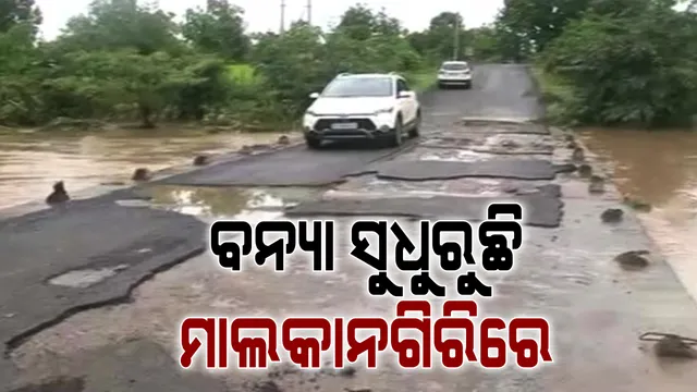 ସ୍ୱାଭାବିକ ହେଉଛି ମାଲକାନଗିରି । ରାଜରାସ୍ତାରେ ଗଡିଲାଣି ଗାଡି, କ୍ଷୟକ୍ଷତିର ଆକଳନ କଲେ ଜିଲ୍ଲାପାଳ