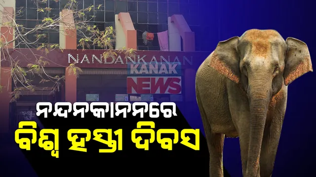 ନନ୍ଦନକାନନରେ ପାଳନ ହେଲା ବିଶ୍ୱ ହସ୍ତୀ ଦିବସ : ହାତୀଙ୍କୁ ଫଳ ଖୁଆଇ ଉତ୍ସବ ମନେଇଲେ ଅଧିକାରୀ; ଏଥର କରୋନା କାରଣରୁ ସାଧାରଣ ଦର୍ଶକଙ୍କ ପାଇଁ ବନ୍ଦ ରହିଛି ଚିଡିଆଖାନା