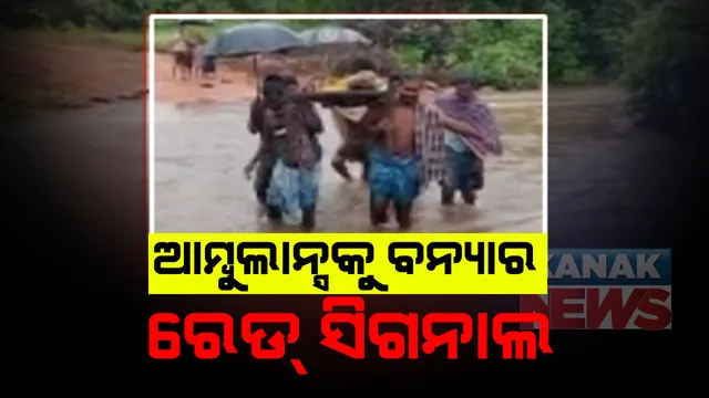 ବନ୍ୟା ପାଣି ଯୋଗୁଁ ଗାଁକୁ ଆସିପାରିଲାନି ଆମ୍ବୁଲାନ୍ସ । ଚିକିତ୍ସା ପାଇଁ ଖଟିଆରେ ବୁହାହୋଇ ହସ୍ପିଟାଲ ଗଲେ ରୋଗୀ