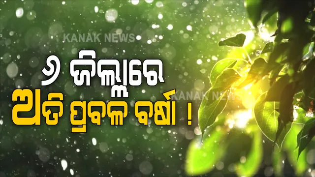 ରାଜ୍ୟରେ ୨୪ ଘଣ୍ଟା ଲଘୁଚାପଜନିତ ବର୍ଷା : ୬ ଜିଲ୍ଲାରେ ପ୍ରବଳ ବର୍ଷା ନେଇ ୟେ‌ଲୋ ୱାର୍ଣ୍ଣିଂ ଜାରି