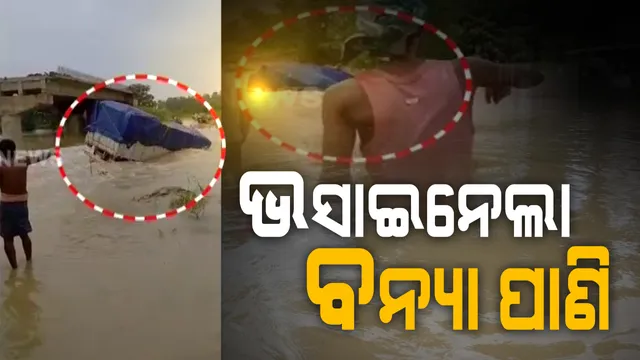 ଭ୍ୟାନ ଭସାଇନେଲା ବର୍ଷାପାଣି । ଲଗାଣ ବର୍ଷାରେ ଉବୁଟୁବୁ ଓଡିଶା । ସାରା ରାଜ୍ୟରୁ ଆସିଲା ବର୍ଷାର ଭୟଙ୍କର ଚିତ୍ର ।