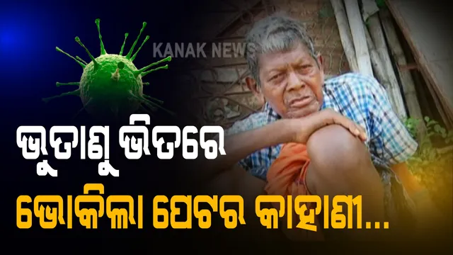 ଭୂତାଣୁ ଭୟ ଭିତରେ ବଦଳିଯାଇଛି ଭୋକର ସଂଜ୍ଞା । କିଏ ପଟେ ପାଇଁ ବୃତି ସହ ସାଲିସ କରୁଛି ତ କିଏ ତାଲାବନ୍ଦ ଭିତରୁ ଖୋଜୁଛି ଜୀବନ ଜୀବିକା । ମହାମାରୀ ଭିତରେ ମାଲକାନଗିରିରୁ ଆସିଲା ଭୋକିଲା ପେଟର କାହାଣୀ..