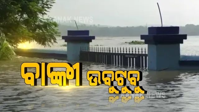 ମହାନଦୀରେ ବନ୍ୟା ଯୋଗୁଁ ବାଙ୍କୀରେ ବନ୍ୟାସ୍ଥିତି ଗମ୍ଭୀର : ଶତାଧିକ ଗାଁ ବାହ୍ୟଜଗତରୁ ବିଚ୍ଛିନ୍ନ; ଗାଁ ଦାଣ୍ଡରେ ୬ ଫୁଟର ପାଣି, ବୁଡିଲା ଘର