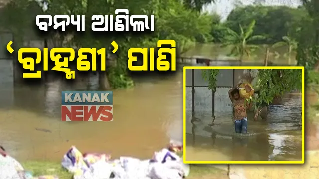 କେନ୍ଦ୍ରାପଡାରେ ଚିନ୍ତା ବଢାଇଲାଣି ବ୍ରାହ୍ମଣୀ ପାଣି : ଗାଁରେ ପଶିଲା ବନ୍ୟା ପାଣି, ବୁଡିଲାଣି ମନ୍ଦିର, ଏଟିଏମ୍; ସେପଟେ ପୁରୀରେ ଭାର୍ଗବୀ ନଦୀରେ ବନ୍ୟା ପରେ ଶାସନ ଦାମୋଦରପୁରରେ ଲହଡି ମାରୁଛି ବନ୍ୟା ପାଣି