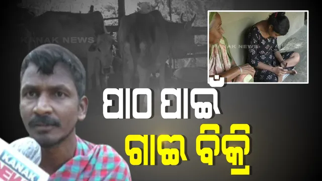 ଝିଅ ପଢ଼ିବ ଅନଲାଇନ୍ ପାଠ, ଗାଈ ବିକି ସ୍ମାର୍ଟଫୋନ୍ କିଣିଲେ ବାପା । ଅନଲାଇନ ପାଠପଢାର ଅସଲ ଚିତ୍ର, ମୋବାଇଲ୍ କିଣିଲା ପରେ ବି ହୋଇପାରୁନି ଝିଅର ପାଠପଢ଼ା, ଟେଲିଫୋନ୍ ନେଟୱାର୍କ ସୃଷ୍ଟି କରୁଛି ସମସ୍ୟା ।