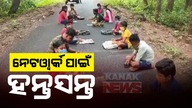 ମିଳୁନି ନେଟୱାର୍କ...ପାଠପଢିବା ପାଇଁ ଜଙ୍ଗଲ  ଭିତରେ  ପିଲା ଯାଉଛନ୍ତି ୧୫ କିଲୋମିଟର : ଗଞ୍ଜାମ, କନ୍ଧମାଳ ଓ ଗଜପତି ଜିଲ୍ଲା ଉପାନ୍ତ ଅଂଚଳରୁ ଶିକ୍ଷାର ଦୟନୀୟ ଚିତ୍ର