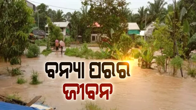 ବନ୍ୟା ଚାଲିଗଲା ଦୁଃଖ ଛାଡ଼ି ଗଲା: ପୁରୀ କୋଣାର୍କ ଏବଂ ଯାଜପୁର ଧର୍ମଶାଳାରୁ ଆସିଲା ପାଣି ପରର ଦୟନୀୟ ଚିତ୍ର; ପାଣିରେ ବୁଡ଼ି ରହିଛି ଚାଷ, ନଷ୍ଟ ହେବାକୁ ବସିଲାଣୀ ଚାଷୀ ପରିଶ୍ରମ