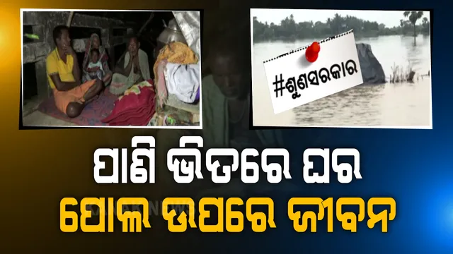 ପାଣି ପାଟିରେ ପଶିଗଲା ଘର, ଅକାତ କାତ ଜଳରେ ବୁଡିଗଲା ସାଇତା ସମ୍ପତ୍ତି । ବନ୍ୟାର ଭୟଙ୍କର ଆଁରୁ ବର୍ତ୍ତିବାକୁ ଜୀବନ ନେଇ ଦୌଡିବା ପରେ ବେସାହାରା ବିପନ୍ନଙ୍କୁ ସାହାରା ଦେଲା ପୋଲ । ପାଲ ତଳେ ମୁଣ୍ଡ ଗୁଞ୍ଜିଛି ୫ଟି ଜୀବନ । ରାଜନଗରରୁ ଆସିଲା ବନ୍ୟା ପରର ବିକଳ ଦୃଶ୍ୟ...