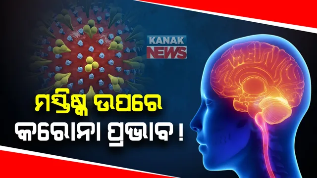 କରୋନା ପ୍ରଭାବକୁ ନେଇ ଆସିଲା ଚିନ୍ତାଜନକ ତଥ୍ୟ : ମସ୍ତିଷ୍କ ଉପରେ ପ୍ରଭାବ ନେଇ ତଥ୍ୟ ପ୍ରକାଶ କଲା ୟୁରୋପୀୟ ସ୍ୱାସ୍ଥ୍ୟ ପତ୍ରିକା ସିଜର ; ବୟସ୍କଙ୍କ କ୍ଷେତ୍ରରେ କଥା କହିବା ଓ ବୁଝିବା ଶକ୍ତିରେ ହେଉଛି ଅସୁବିଧା