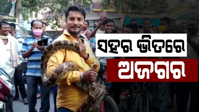 ସହର ଭିତରେ ଅଜଗର : ବଲାଙ୍ଗୀରରେ ଉଦ୍ଧାର ହେଲା ୧୦ ଫୁଟିଆ ଅଜଗର; ଶିବ ମନ୍ଦିର ପାଖରେ ଝୁଲି ରହିଥିଲା ସାପ, ଲୋକେ ଆତଙ୍କିତ