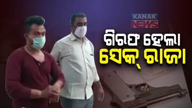 ଗିରଫ ହେଲା ସେକ୍ ରାଜା । ଟିଟୋ ଗ୍ୟାଙ୍ଗର ଥିଲା ଦୁର୍ଦ୍ଦାନ୍ତ ଅପରାଧୀ, ଦେଶୀ ବନ୍ଧୁକ ସହ ଜୀବନ୍ତ ଗୁଳି ଜବତ କଲା ପୋଲିସ