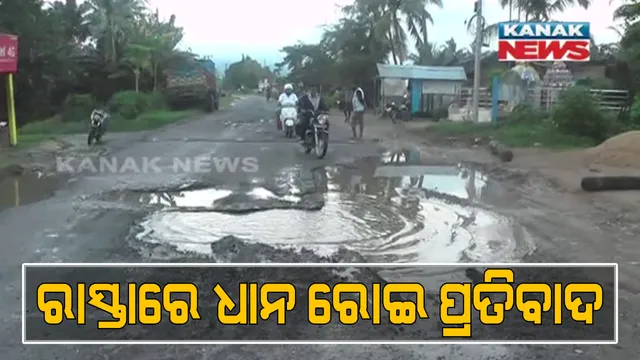 ରାସ୍ତା ପାଲଟିଛି ପୋଖରୀ । ନିର୍ମାଣର ବର୍ଷେ ନପୁରୁଣୁ ଖାଲଖମାରେ ଭର୍ତି ରାସ୍ତା । ପ୍ରତିବାଦରେ ଧାନ ରୋଇଲେ ନିଆଳି ଟୋଲାଗୋପିନାଥପୁର ଗ୍ରାମବାସୀ ।