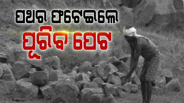 ପଥର ଫଟେଇଲେ ପୁରିବ ପେଟ ।  ଟିଟଲାଗଡ ସବଡିଭିଜନ ସିନେ୍ଧକେଲା ବ୍ଳକରୁ ଆସିଛି ଦାଦନ ଶ୍ରମିକଙ୍କ କରୁଣ କାହାଣୀ : ଶ୍ରମକଙ୍କ ମୁହଁରେ ଥୋପ ପକାଇ ଲାଭ ଖାଉଛି ଦଲାଲ