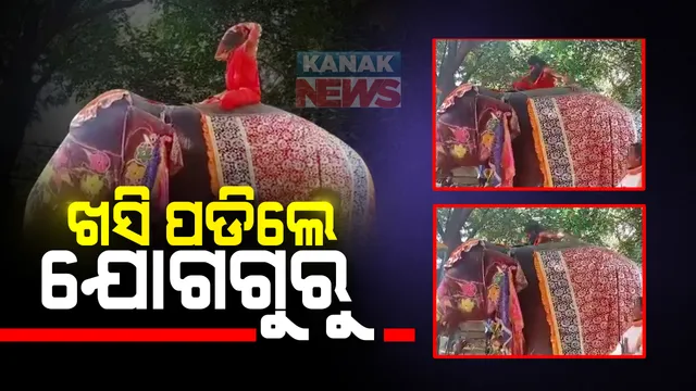 ହାତୀ ପିଠିରେ ଯୋଗାଭ୍ୟାସ ପଡିଲା ମହଙ୍ଗା : ସନ୍ତୁଳନ ହରାଇ ଖସିପଡିଲେ ଯୋଗଗୁରୁ ; ମଥୁରା ଆଶ୍ରମର ଦୃଶ୍ୟ ହେଉଛି ଭାଇରାଲ