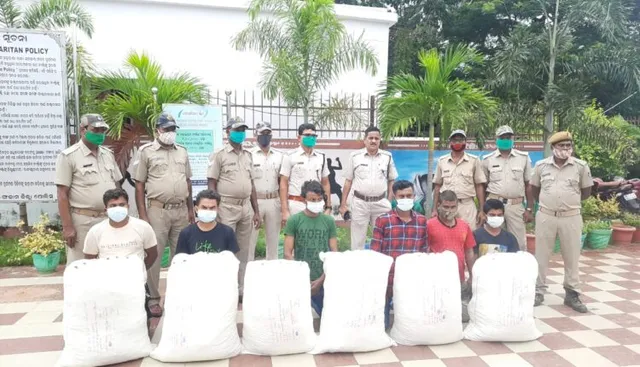 ପୁଲିସ ପକ୍ଷରୁ ଚଢ଼ାଉ : ଆସିକା ବସ ଷ୍ଟାଣ୍ଡରୁ ୧୩୪ କେଜି ଗଞ୍ଜେଇ ସହିତ ଛଅ ଗିରଫ