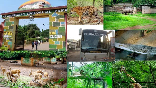 ଚିଡିଆଖାନା ଓ ଡିଅର ପାର୍କ ଖୋଲିବା ନେଇ ରାଜ୍ୟ ସରକାରଙ୍କ ନିଷ୍ପତ୍ତି  : ମାସ୍କ ପିନ୍ଧିବା ବାଧ୍ୟତାମୂଳକ, ଥଣ୍ଡାକାଶ ଜ୍ୱର ଥିଲେ ପ୍ରବେଶ ମନା ; ନନ୍ଦନକାନନକୁ ଦୈନିକ ଯାଇପାଇପାରିବେ ୧୫ଶହ ପର୍ଯ୍ୟଟକ 