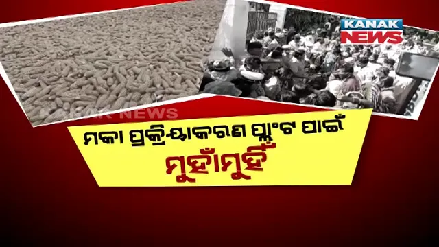 ମକା ପ୍ରକ୍ରିୟାକରଣ ପ୍ଲାଣ୍ଟକୁ ନେଇ ମୁହାଁମୁହିଁ । ପ୍ଲାଣ୍ଟ ପାଇଁ ଜମି ଅଧିଗ୍ରହଣକୁ ନେଇ ମୁଣ୍ଡ ଟେକିଛି ବିବାଦ, ବିନା ପଲ୍ଲିସଭାରେ ଜମି ଅଧିଗ୍ରହଣକୁ ଗ୍ରାମବାସୀଙ୍କ ବିରୋଧ ।