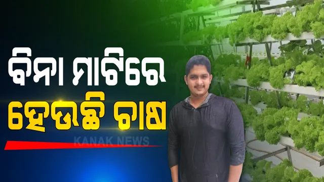ମାଟି ନାହିଁ, ତଥାପି ବଢ଼ୁଛି ଗଛ । କେବଳ ପାଣିରେ ହେଉଛି ଚାଷ । ଓଡ଼ିଶାରେ ପ୍ରଥମ ଥର ପାଇଁ ହାଇଡ୍ରୋପୋନିକ୍ ପ୍ରଣାଳୀରେ ଚାଷ କରୁଛନ୍ତି ଆଶିଷ