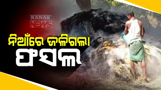 ନିଆଁରେ ଜଳିଗଲା ଲକ୍ଷାଧିକ ଟଙ୍କାର ଧାନ ଫସଲ : ନବରଙ୍ଗପୁର ଜୋଡେଙ୍ଗା ଗାଁରେ ଜଳିଗଲା ଧାନ; ବ୍ୟାଙ୍କ ଋଣ ସୁଝିବା ପାଇଁ ଚିନ୍ତାରେ ଚାଷୀ 