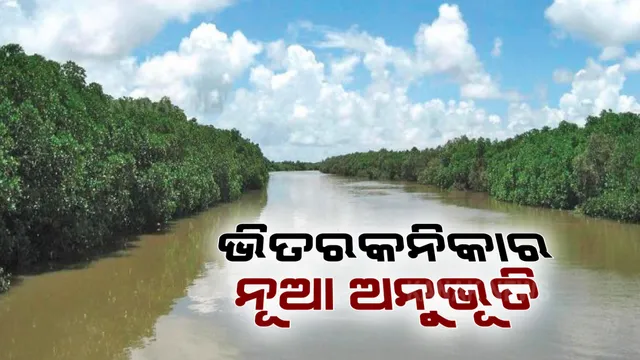 ତମ୍ବୁ ତଳେ ରାତି ବିତାଇବାର ସୁଯୋଗ । ଭିତରକନିକା ଅଭୟାରଣ୍ୟରେ ଇକୋ ରିଟ୍ରିଟ୍ ପାଇଁ ନୂଆ ବ୍ୟବସ୍ଥା, ପର୍ଯ୍ୟଟକଙ୍କୁ ଆକର୍ଷିତ କରିବା ପାଇଁ ରାଜ୍ୟର ୫ଟି ସ୍ଥାନରେ ଏଥର ଇକୋ ରିଟ୍ରିଟ୍ ।