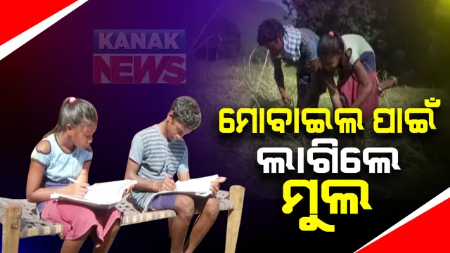 ସ୍ମାଟ ମୋବାଇଲ କିଣିବାକୁ ମୁଲ ଲାଗିଲେ ଛାତ୍ରଛାତ୍ରୀ : ଅନଲାଇନରେ ପଢ଼ିବା ପାଇଁ ମାଣ୍ଡିଆ କାଟିଲେ ରାୟଗଡ଼ା ଜାମୁଲିମା ଗାଁର ରୋହିତ ଓ ମୋନିକା