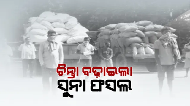 ରାଜ୍ୟରେ ଆରମ୍ଭ ହେଲା ଖରିଫ ଧାନ କିଣା ପ୍ରକ୍ରିୟା । ଆଜିଠୁ ବରଗଡ଼ରେ ଆରମ୍ଭ, ୧୨ ତାରିଖରେ ଧାନ ବିକିବେ ସମ୍ବଲପୁର ଚାଷୀ । ଧାନ ବିକ୍ରିକୁ ନେଇ ଦ୍ୱନ୍ଦ୍ୱ ବଢ଼ାଇଲା ନୂଆ କୃଷି ଆଇନ 