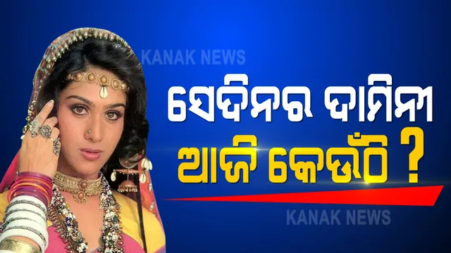 ଝାଡଖଣ୍ଡର ଏକ ଛୋଟ ସହରରୁ ଆସି ବଲିଉଡର ଦାମିନୀ ସାଜିଥିବା ମିନାକ୍ଷୀ ଶେଷାଦ୍ରୀ ଆଜି କେଉଁଠି । କାହିଁକି ଛାଡିଲେ ବଲିଉଡ