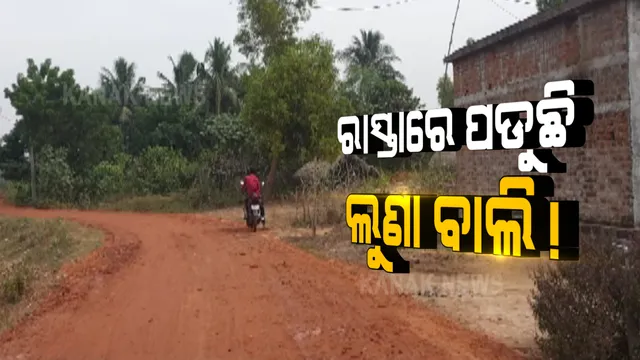 ରାସ୍ତାରେ ପଡୁଛି ଲୁଣା ବାଲି । ଜଗତସିଂହପୁର ବାଲିକୁଦା ବ୍ଲକରେ ଲୋକଙ୍କ ହିତ ପାଇଁ ହୋଇଥିବାରୁ ଯୋଜନାରୁ କୋଟି କୋଟି ଟଙ୍କା ହରିଲୁଟ୍ କରୁଛନ୍ତି ଠିକାଦାର