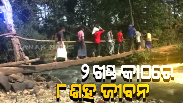 ଫିରିଙ୍ଗିଆ ପାଙ୍ଗା ପଂଚାୟତରେ ବିକାଶର ବାଟ ଉଗାଳିଛି ବାଘ ନଦୀ । ଦୁଇଖଣ୍ଡ କାଠ ଭରାସାରେ ନଦୀ ପାର ହେଉଛନ୍ତି ୬ ଖଣ୍ଡ ଗାଁର ୮୦୦ ଗ୍ରାମବାସୀ । ବର୍ଷାରେ ଭାସିଯାଏ କାଠ ପୋଲ, ଜଳବନ୍ଦୀ ହୁଏ ଜୀବନ