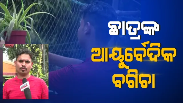 ଆୟୁର୍ବେଦିକ ଦିବସରେ ଆଶ୍ଚର୍ଯ୍ୟ । ୭୦ ପ୍ରଜାତିର ଏକ ହଜାରରୁ ଅଧିକ ଔଷଧୀୟ ଗଛ ଲଗାଇ ଆୟୁର୍ବେଦ ଔଷଧୀୟ ପାର୍କ କରିଛନ୍ତି ଛାତ୍ର ।