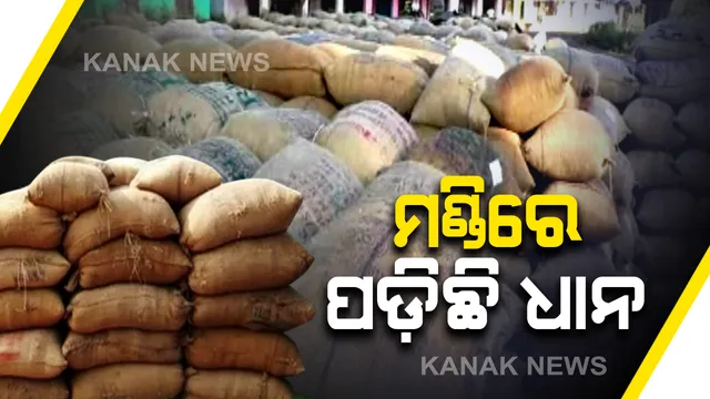 ସମ୍ବଲପୁର କୁଚିଣ୍ଡା ଉପଖଣ୍ଡରେ ବଢ଼ିଲା ଚାଷୀଙ୍କ ଦୁର୍ଦ୍ଦଶା : ମଣ୍ଡିରେ ପଡ଼ିଛି ହଜାର ହଜାର ପ୍ୟାକେଟ ଧାନ; କଟନିଛଟନି ବିବାଦ ଓ ମିଲର ଆସୁନଥିବାରୁ ସମସ୍ୟା