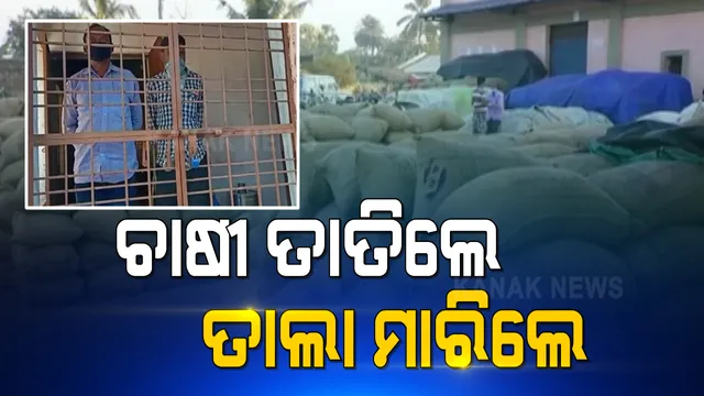 ମଣ୍ଡିରୁ ଉଠିଲା ନାହିଁ ଧାନ । ମଣ୍ଡି କର୍ମଚାରୀ ମାନଙ୍କୁ ତାଲା ମାରିଲେ ଚାଷୀ ।